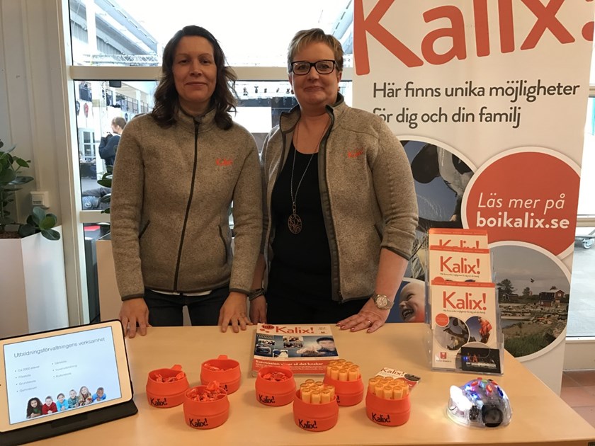 Elisabeth Karlsson och Gabriella L Nilsson vid Kalix kommuns monter.