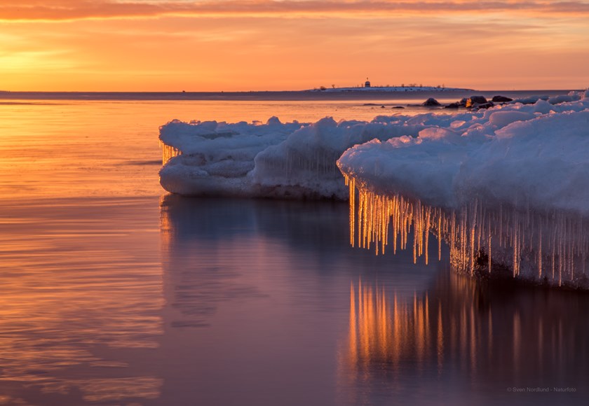 Gräddmanhällan, foto Sven Nordlund