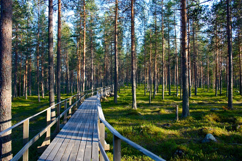 Spången i Fattenborg. Foto: Åsa Morin.