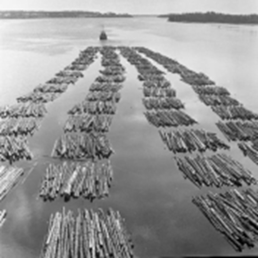 A towing boat with timber.