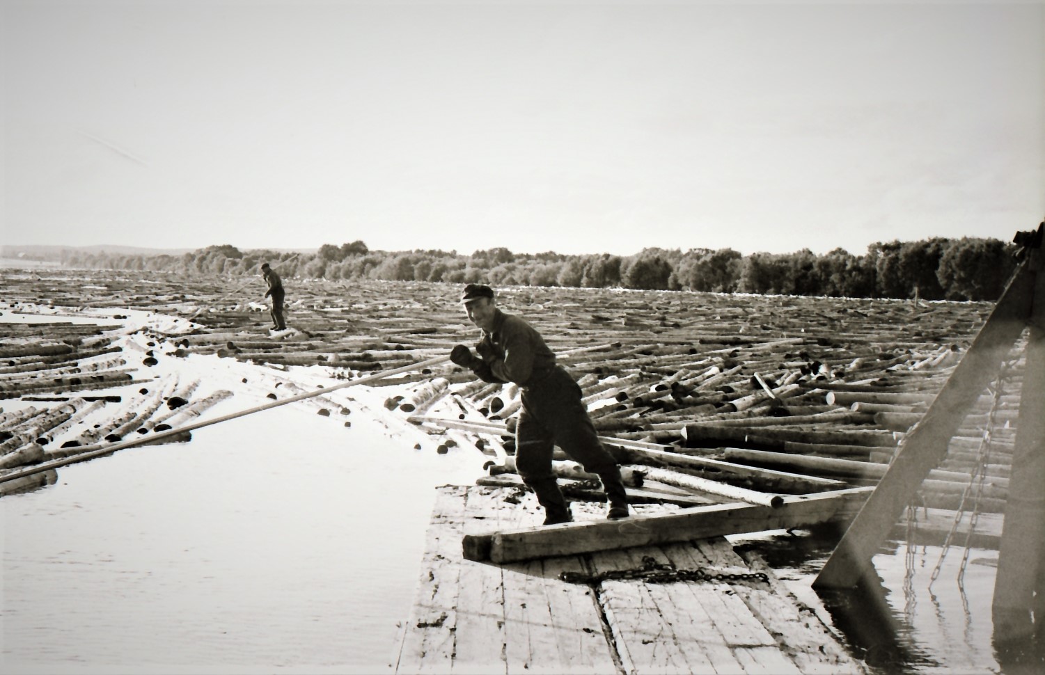 Klicka för att se bilden i större format.
