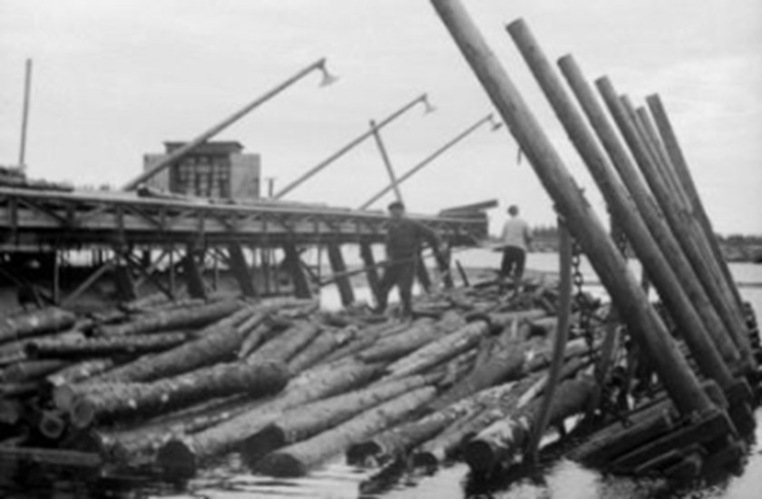 Men working on the frame of the log sorting facility.