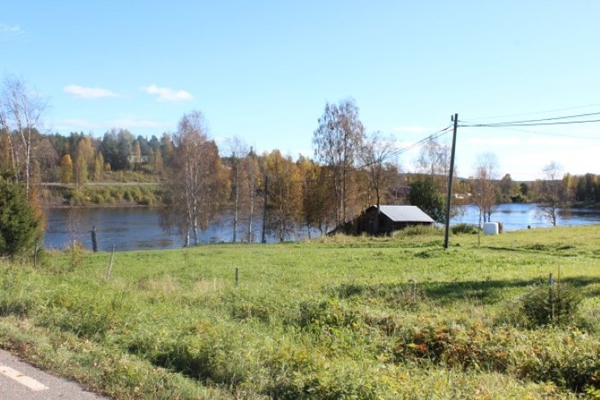 Brattland. Foto: Viktor Nilsson.