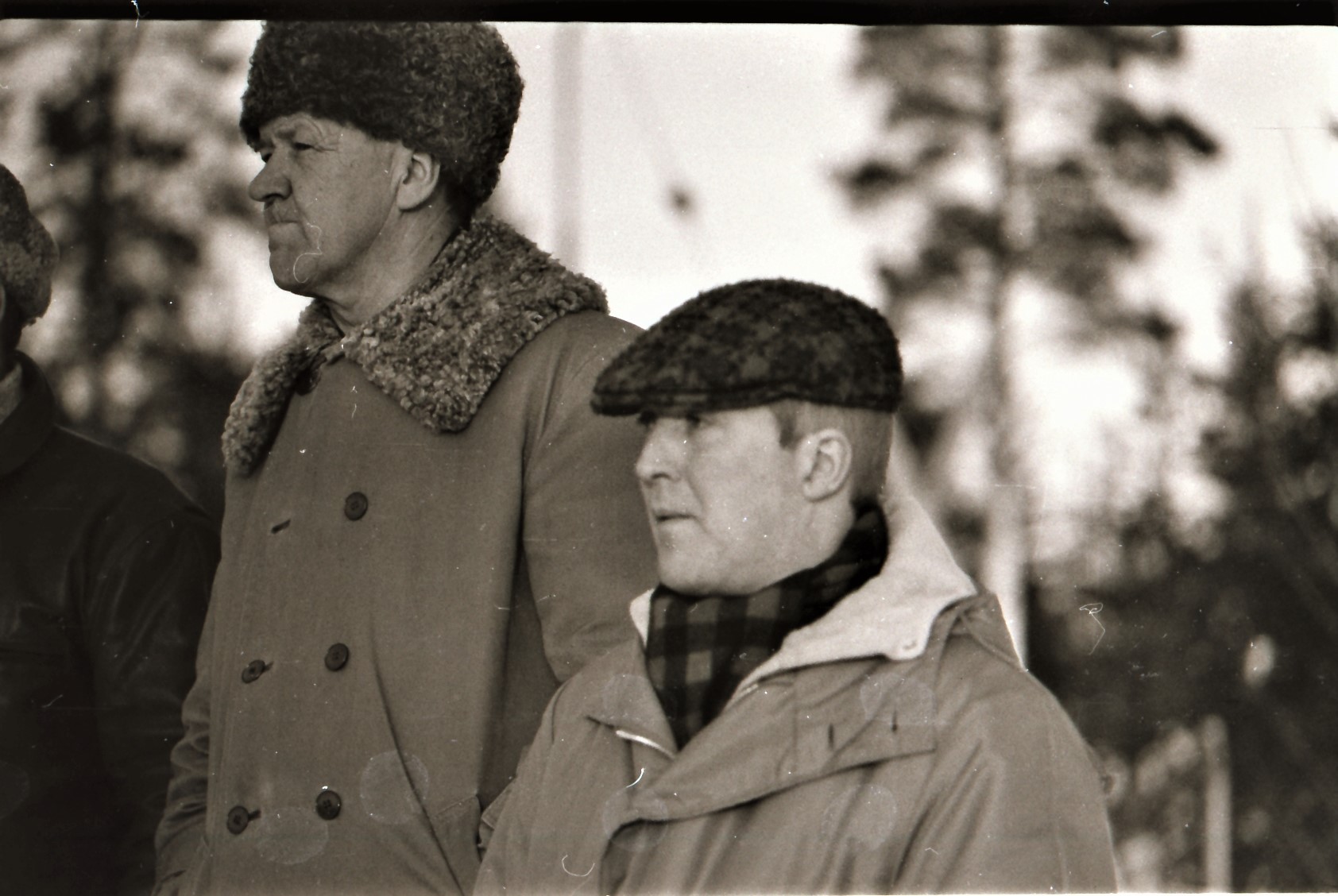 Klicka för att se bilden i större format.