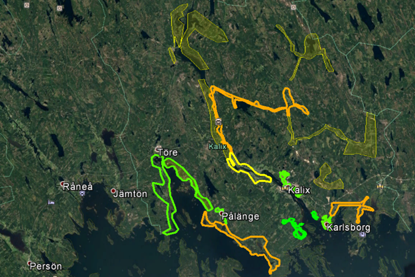 Karta som förklarar statusen för bredbandsutbyggnaden i Kalix kommun.