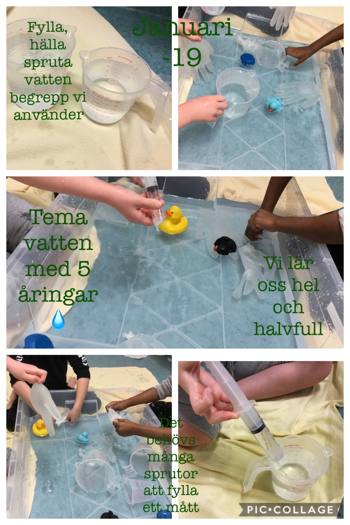 Bilder av barn som experimenterar i en vattenbunke och lär sig hel- och halvfull, januari 2019.