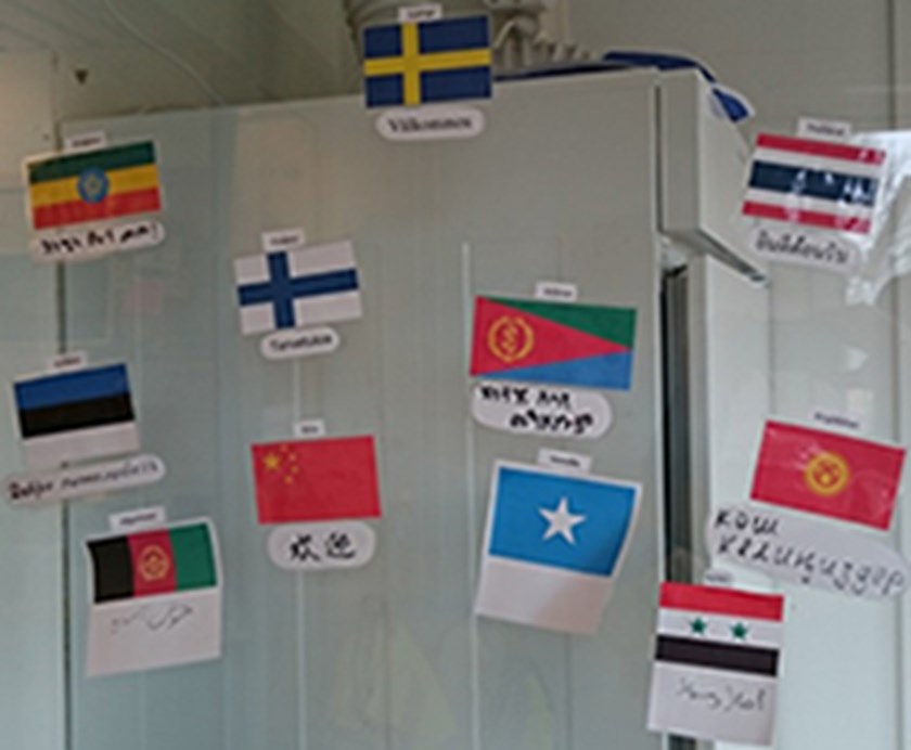 Flaggor från hela världen.