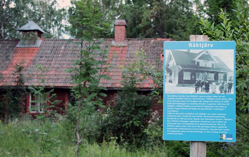 Räktjärv. Foto: Viktor Nilsson.