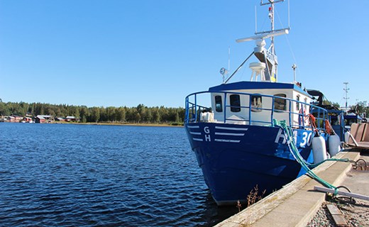 Fiskebåt i Storöns hamn.