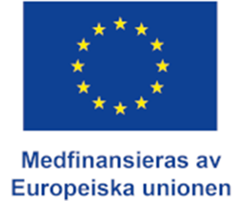 EU-flaggan och texten: "Medfinansieras av Europeiska unionen".
