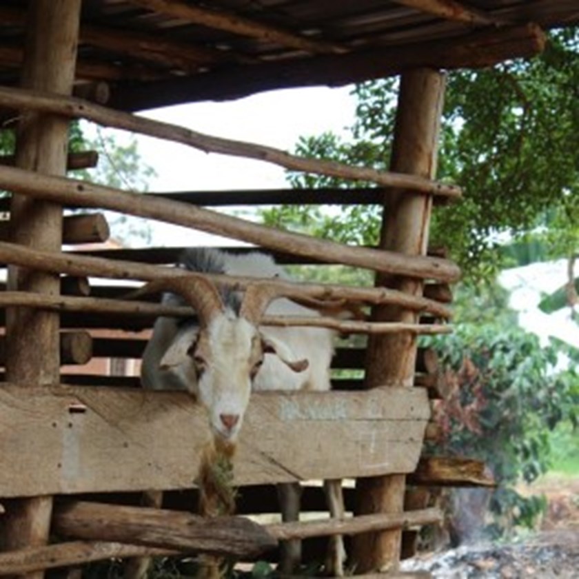 Geten Kalix på en skola i Masaka, Uganda.