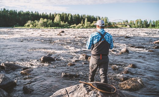 Kalix kommun erbjuder många möjligheter till ett varierat kultur- och friluftsliv året om.