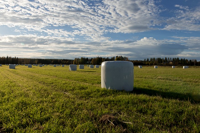 Björkfors och Björkforsbygden