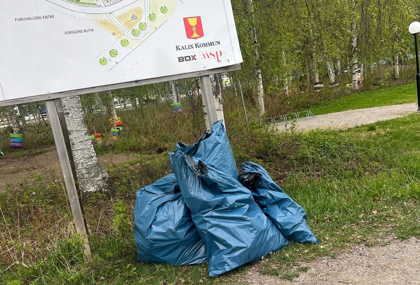 Skräpplockaning med Hej Främling.
