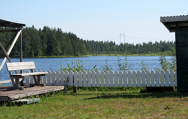 Natur i Holmträsk. Foto Viktor Nilsson.