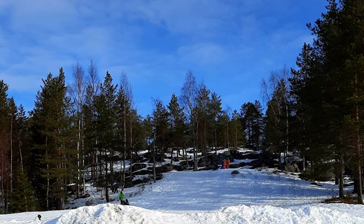 Näsbyskolans elever på friluftsdag i Rudträskbacken. 