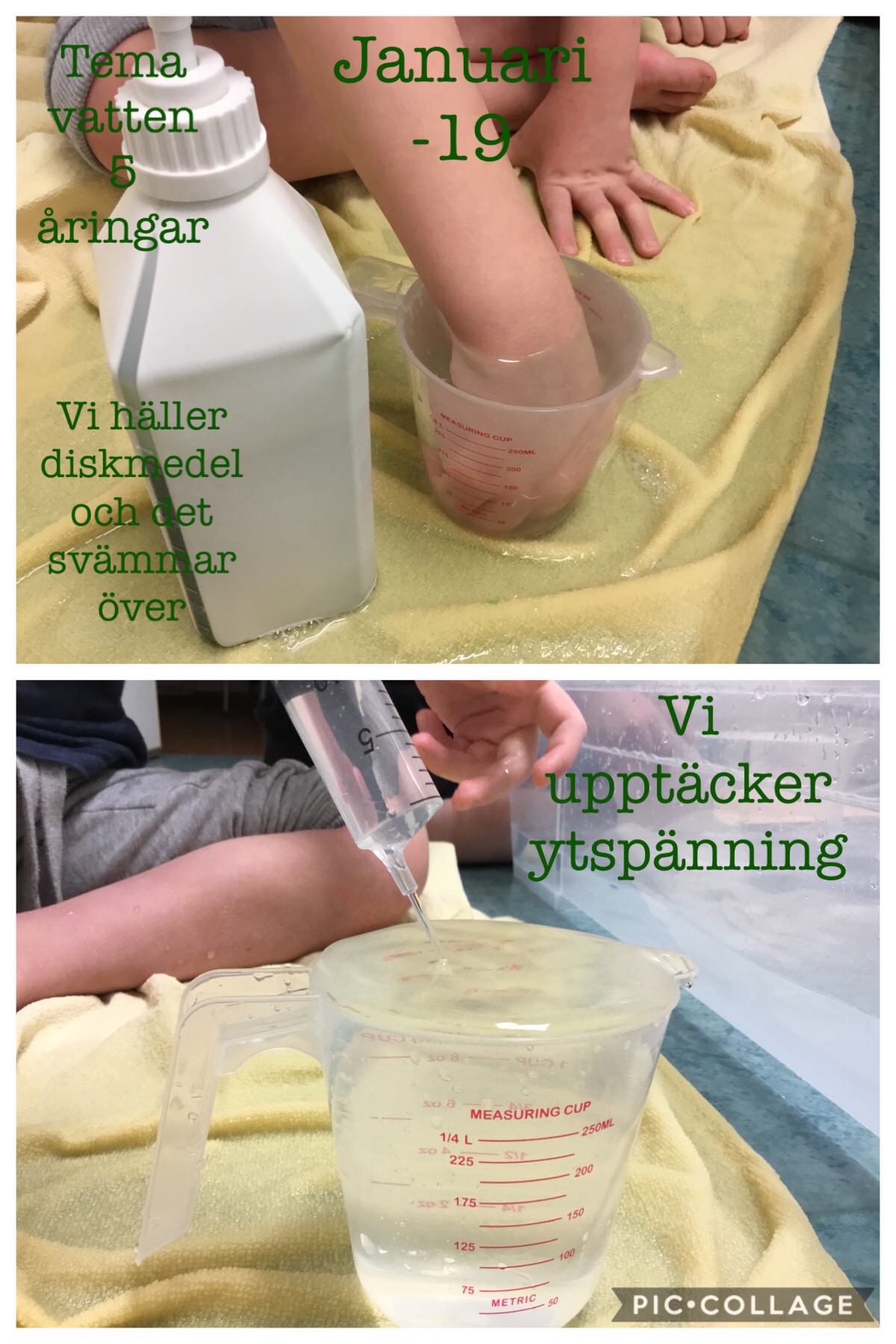 Bilder av experiment om ytspänning, med vatten, diskmedel och handduk.