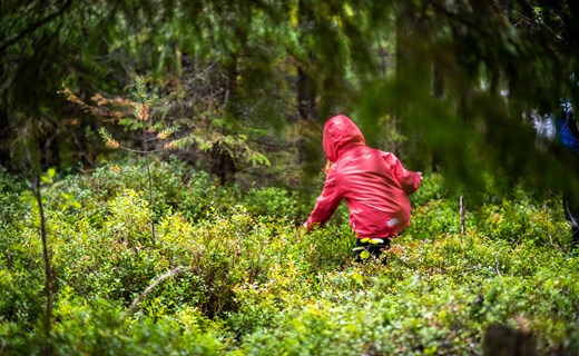 Kalix kommun erbjuder många möjligheter till ett varierat kultur- och friluftsliv året om.